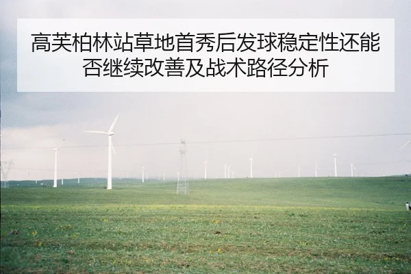 高芙柏林站草地首秀后发球稳定性还能否继续改善及战术路径分析