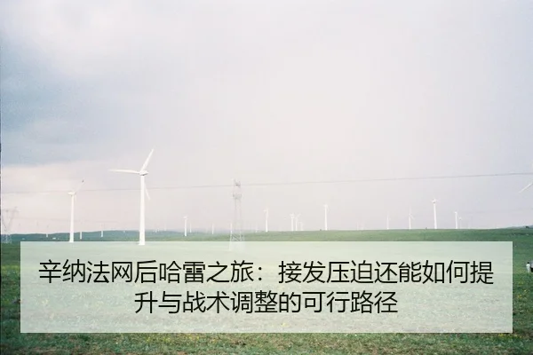xin-na-fa-wang-hou-ha-lei-zhi-lv-jie-fa-ya-po-hai-neng-ru-he-ti-sheng-yu-zhan-shu-tiao-zheng-de-ke-xing-lu-jing-2-399.jpg