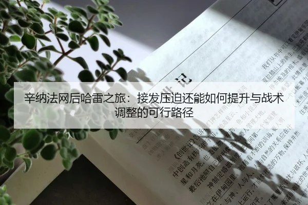 辛纳法网后哈雷之旅：接发压迫还能如何提升与战术调整的可行路径